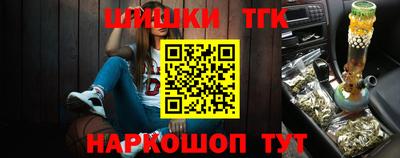 прущие крисы Кингисепп