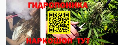 прущие крисы Кингисепп