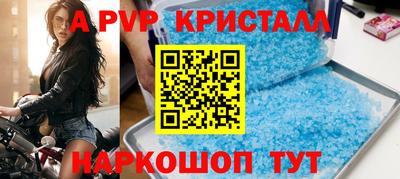 прущие крисы Кингисепп