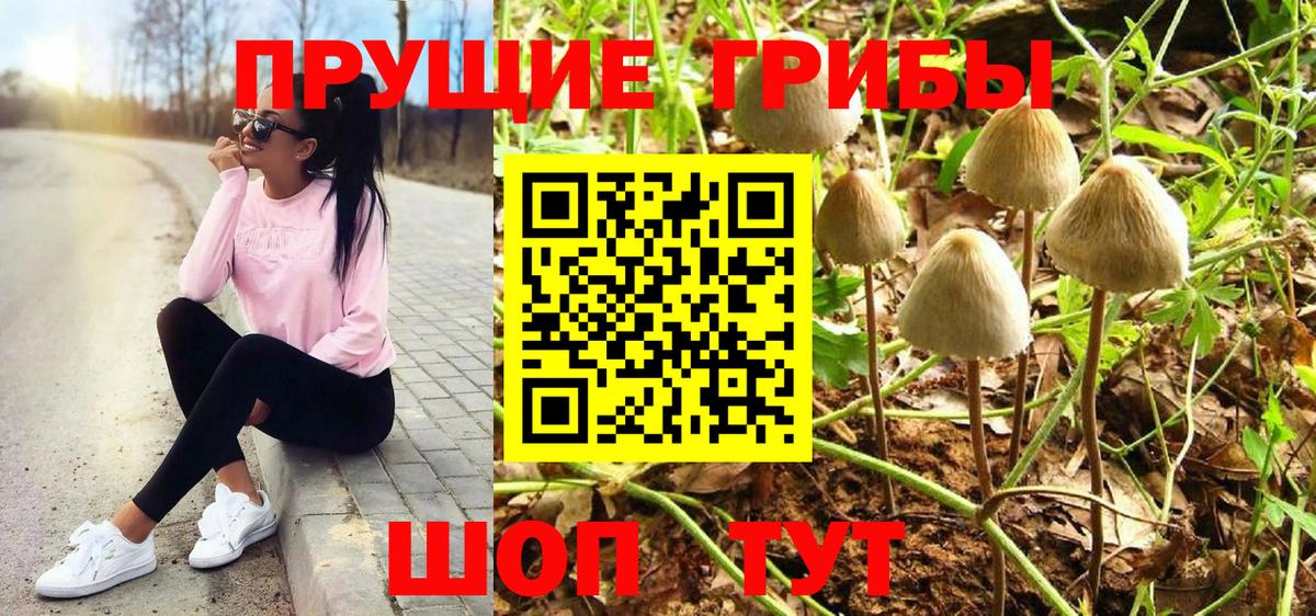 Галлюциногенные грибы Cubensis  Вход с VPN  Михайловка 